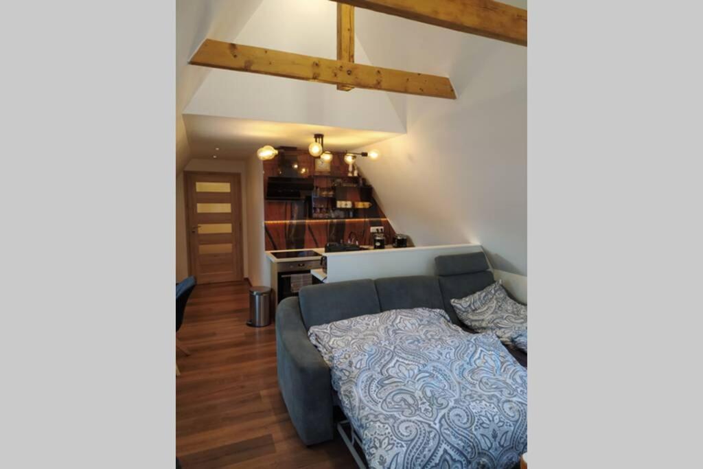 Apartman Atelier Vary V Nove Zrekonstruovanem Dome 卡罗维发利 外观 照片