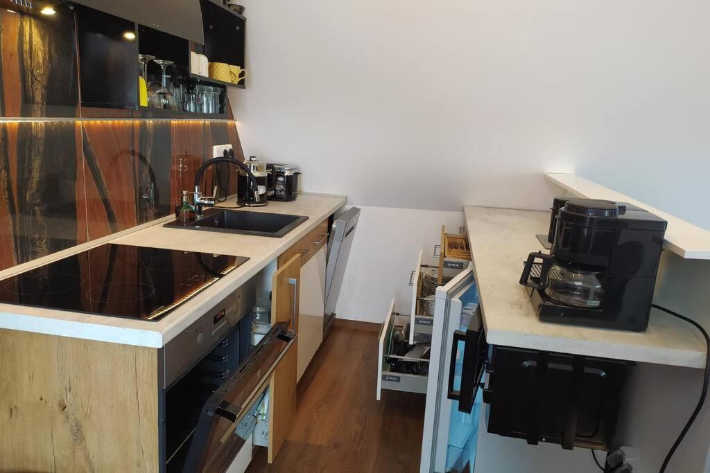 Apartman Atelier Vary V Nove Zrekonstruovanem Dome 卡罗维发利 外观 照片