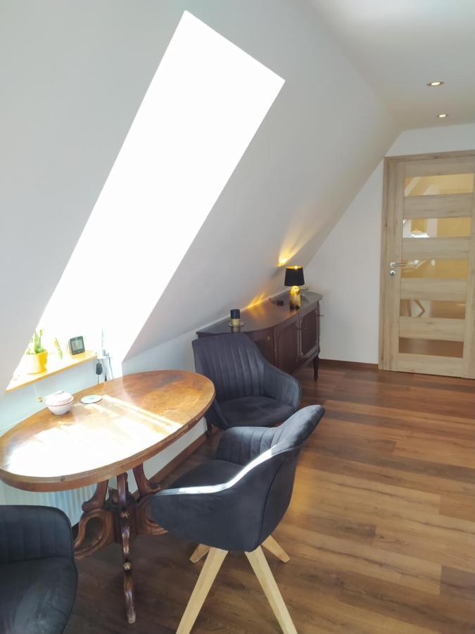 Apartman Atelier Vary V Nove Zrekonstruovanem Dome 卡罗维发利 外观 照片