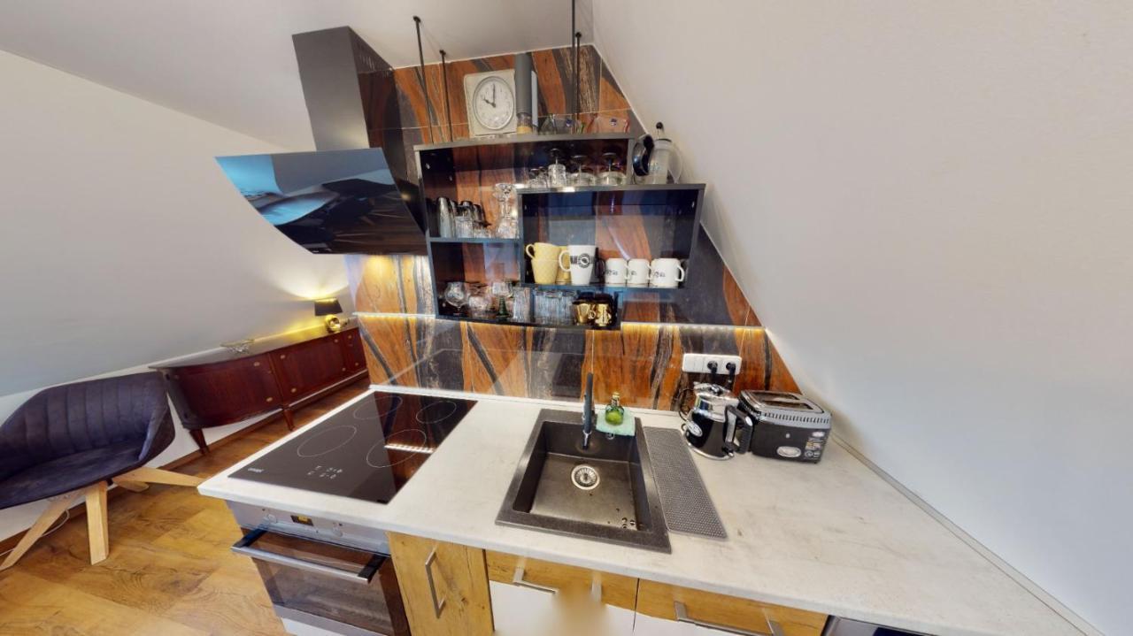 Apartman Atelier Vary V Nove Zrekonstruovanem Dome 卡罗维发利 外观 照片