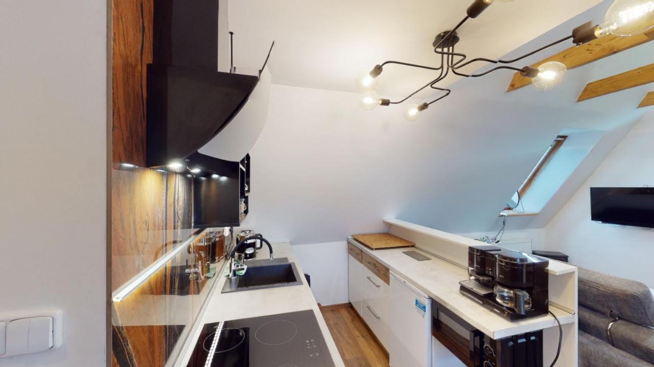 Apartman Atelier Vary V Nove Zrekonstruovanem Dome 卡罗维发利 外观 照片